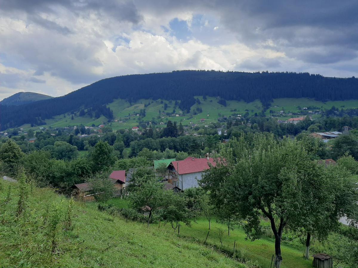 Pid Lisochkom Verkhovyna Bagian luar foto