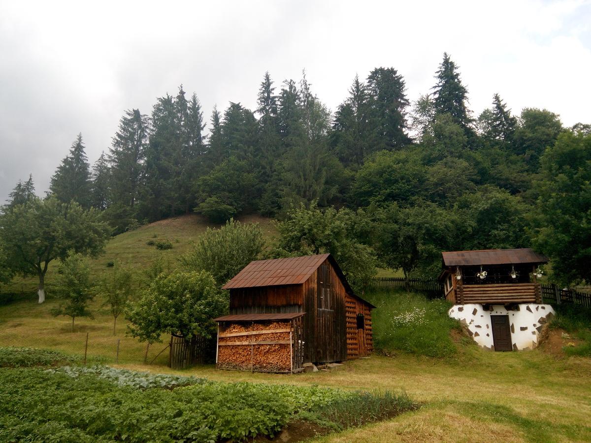 Pid Lisochkom Verkhovyna Bagian luar foto